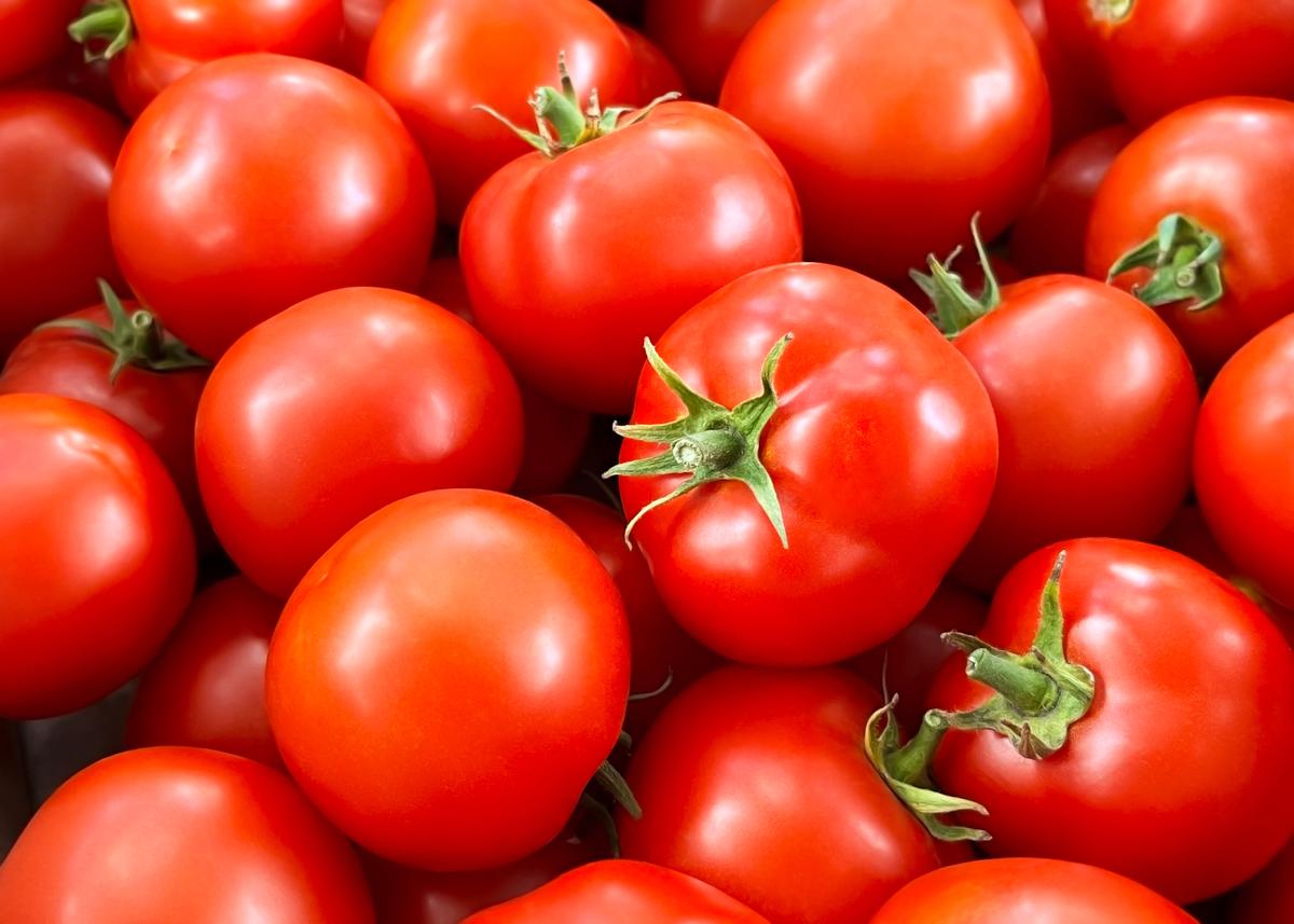 FDA Upgrades Recall of Potentially Bacteria-Contaminated Tomatoes in 3 States
