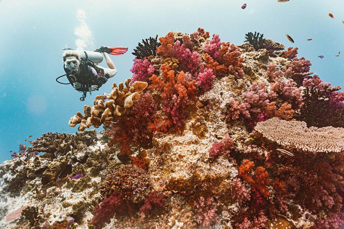 Lessons Learned From the World’s Remotest Islands