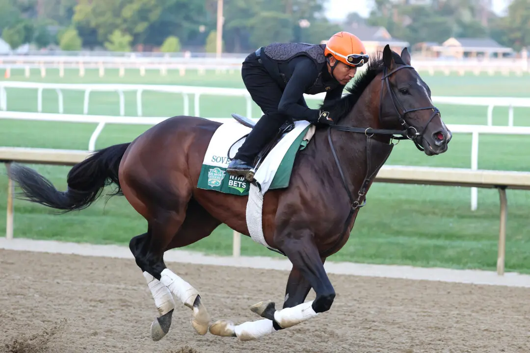 Horses, Favorites, Longshots—What to Know About Saturday’s Breeders’ Cup Classic