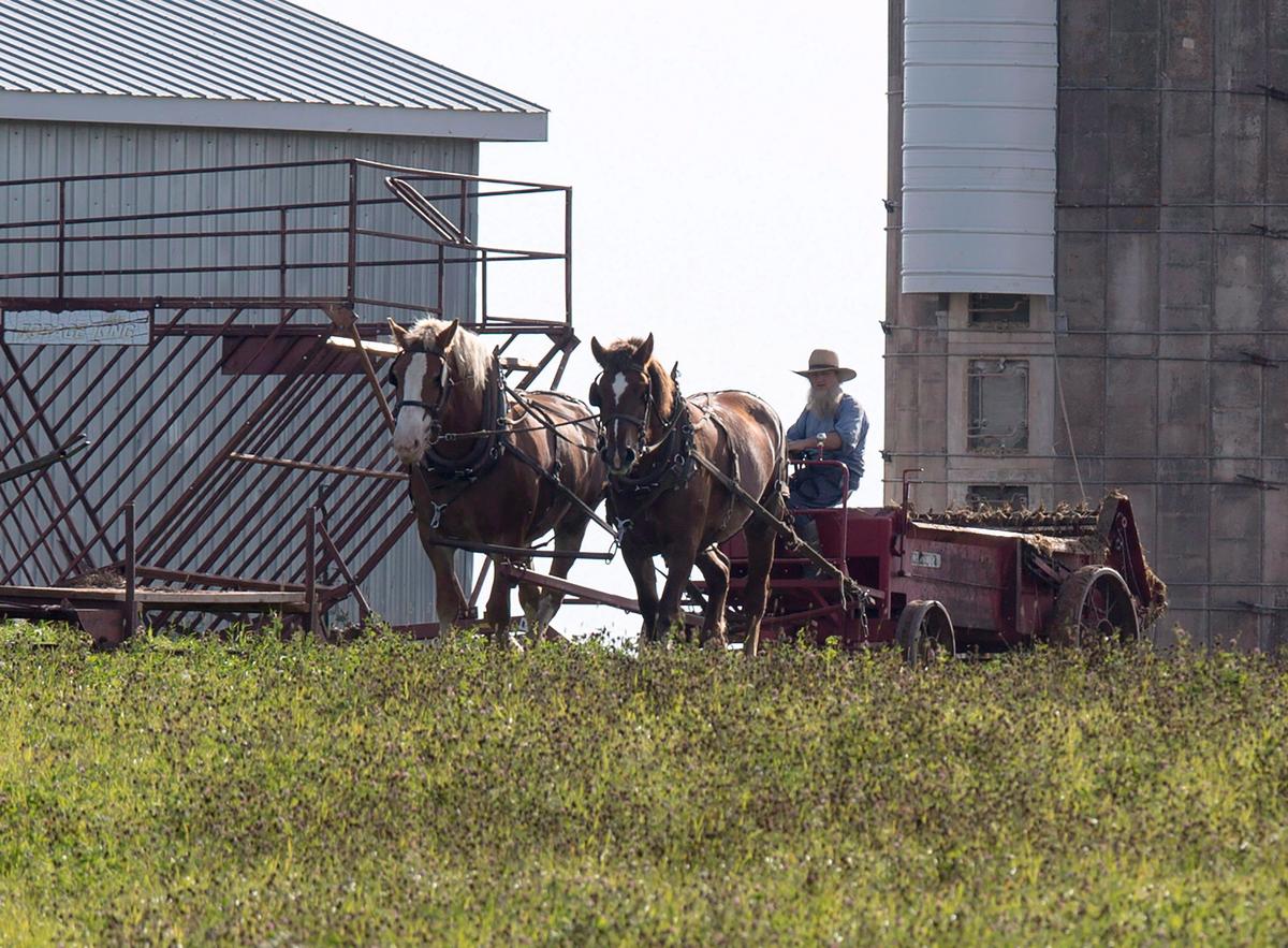 $38,000 Fines Waived for Ontario Amish Families Convicted for Not Using ArriveCan App