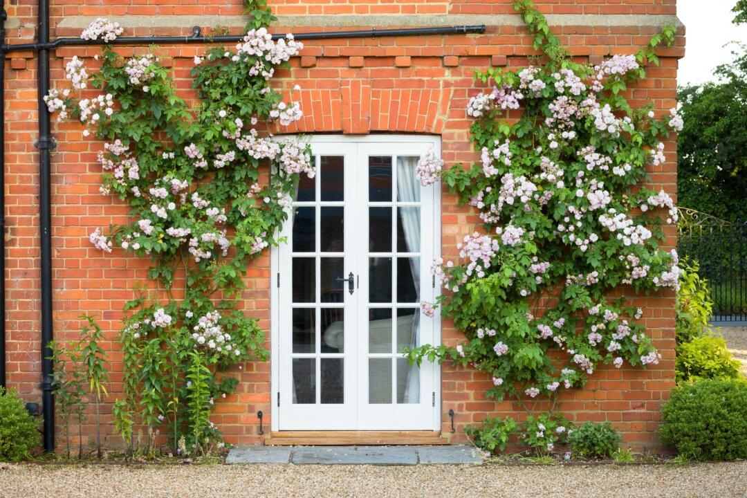 Fixer-Upper Homes Offer Better Deals, Especially in South and Midwest: Report