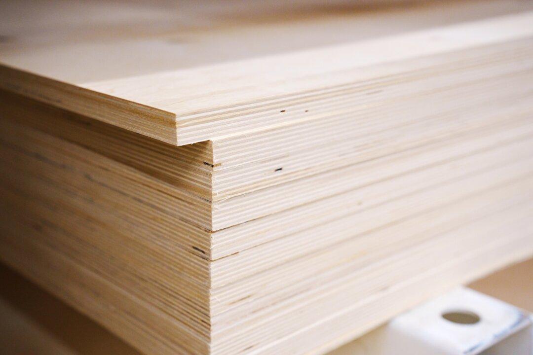 EU Slaps Anti-Dumping Levies on Plywood Imports From China