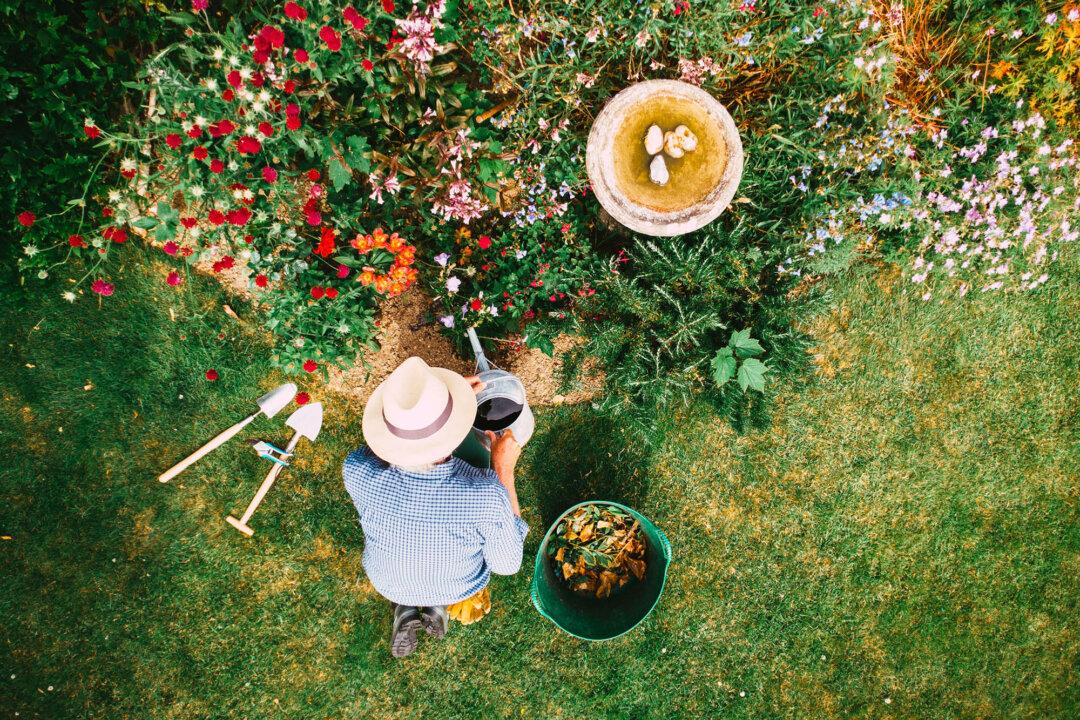 Prepping the Garden for Vacation