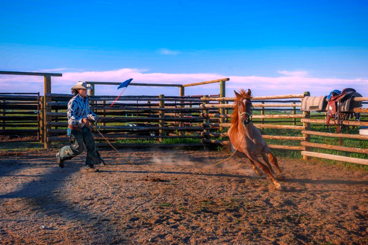 Jess Oldham trains Rocky, a 3-year-old red roan filly. (Maria Coulson)