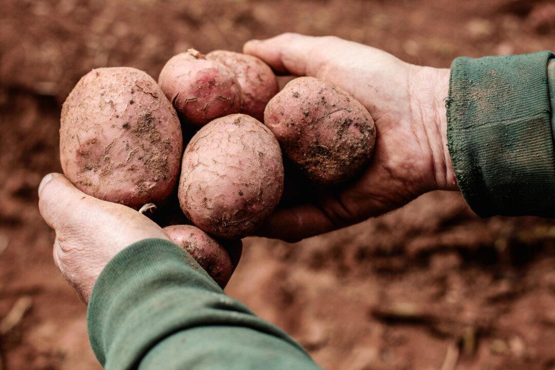 Potatoes, Blackberries Added to List of Most Pesticide-Contaminated Produce: EWG
