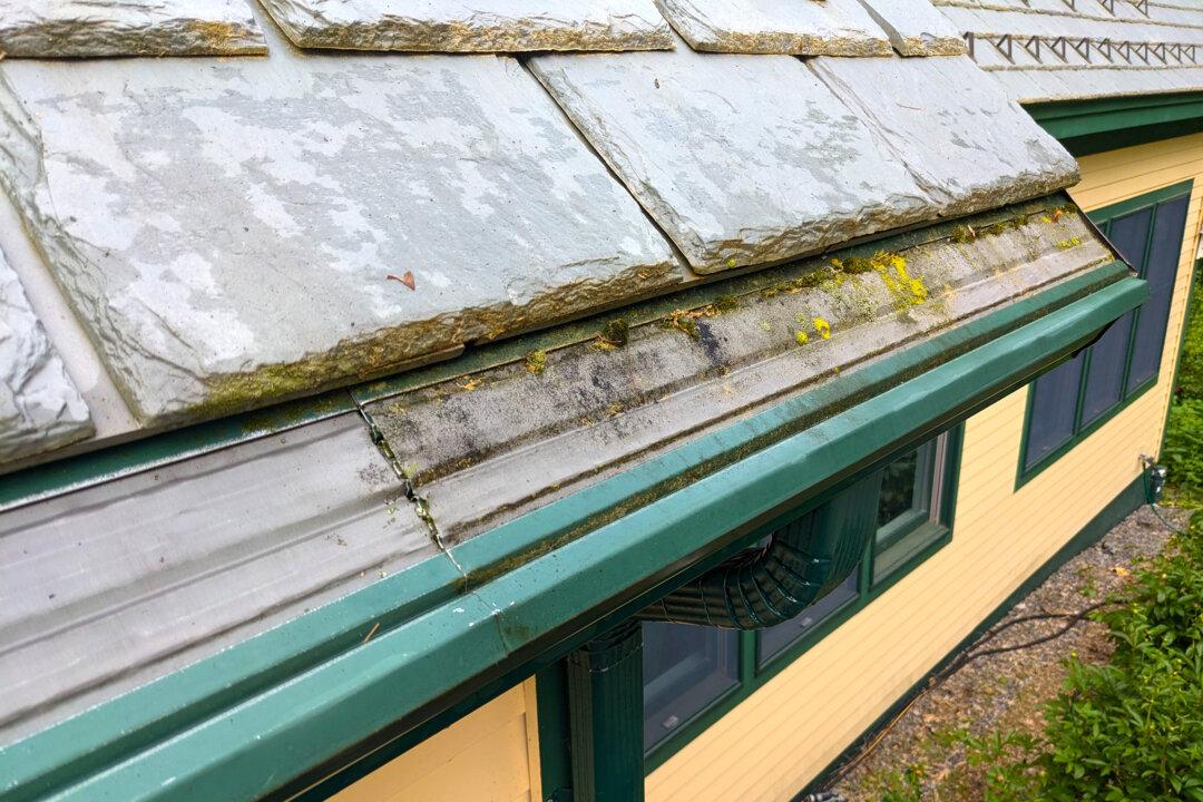 Ask the Builder: Gutter Guard Facts You Need to Know