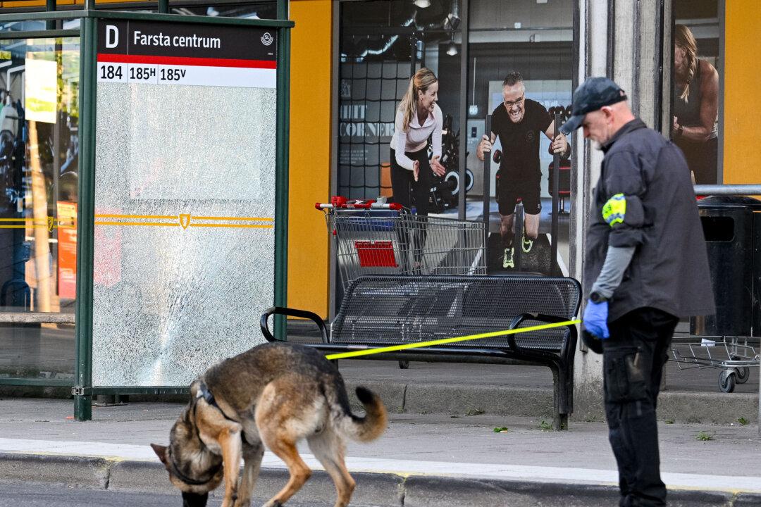 In Sweden, Public Interest Battles to Compete With Deep Culture of Privacy