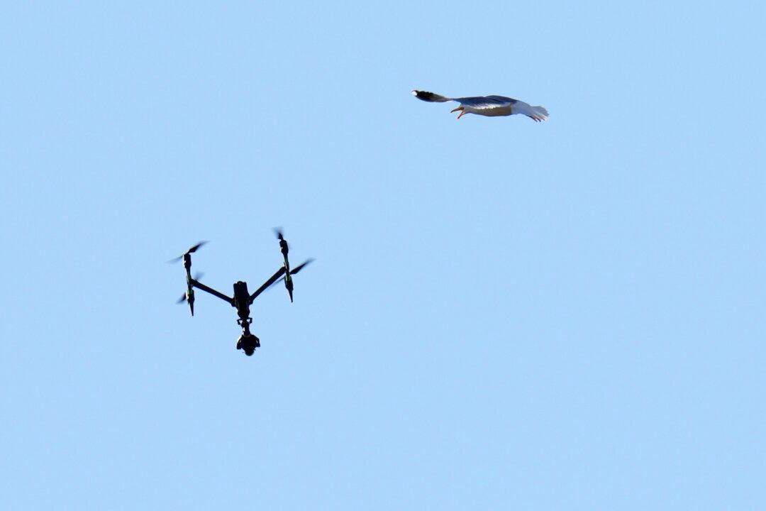 Drones and Contraband Pose Everyday Challenges in Quebec Detention Centres