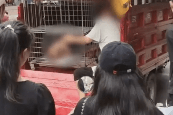 Viral Caged Toddler Video in China Rekindles Human Trafficking Suspicions