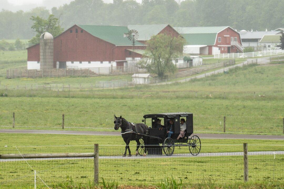 Food Independence Summit Teaches a Return to Self-Sufficient Roots