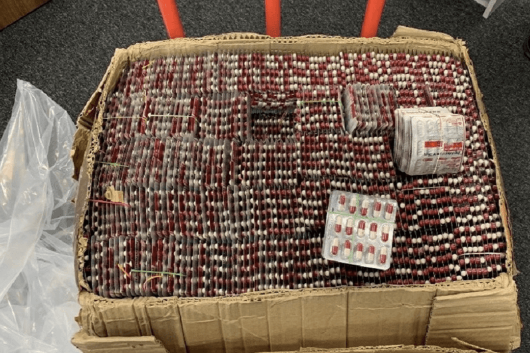 Health Canada Warns About Fake Online Drugs After Interpol Crackdown