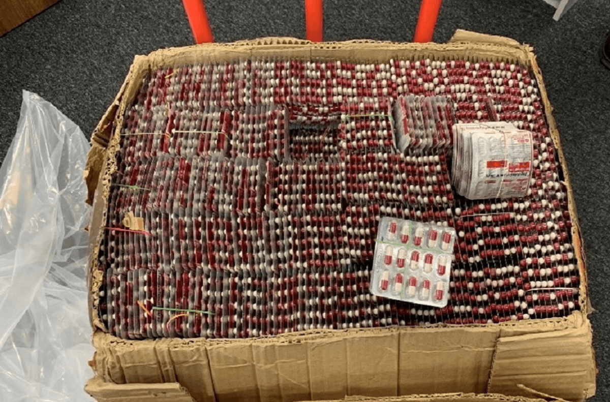 Health Canada Warns About Fake Online Drugs After Interpol Crackdown