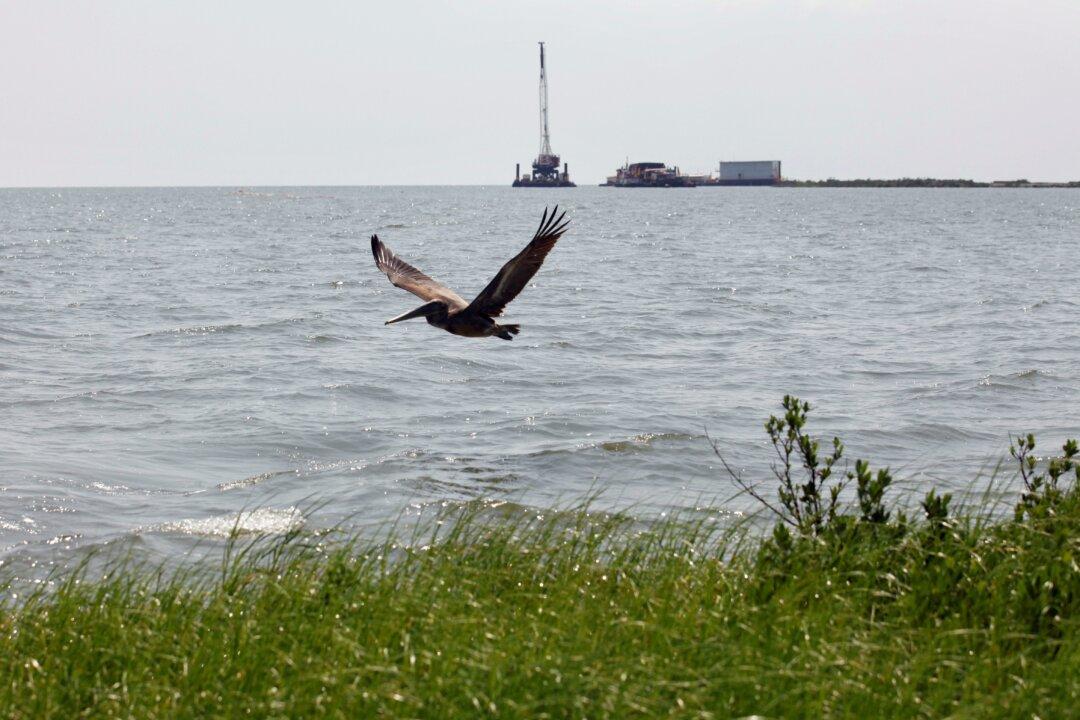 NTSB Says Company Failed to Shut Down Oil Pipeline for Nearly 13 Hours After Pressure Dropped