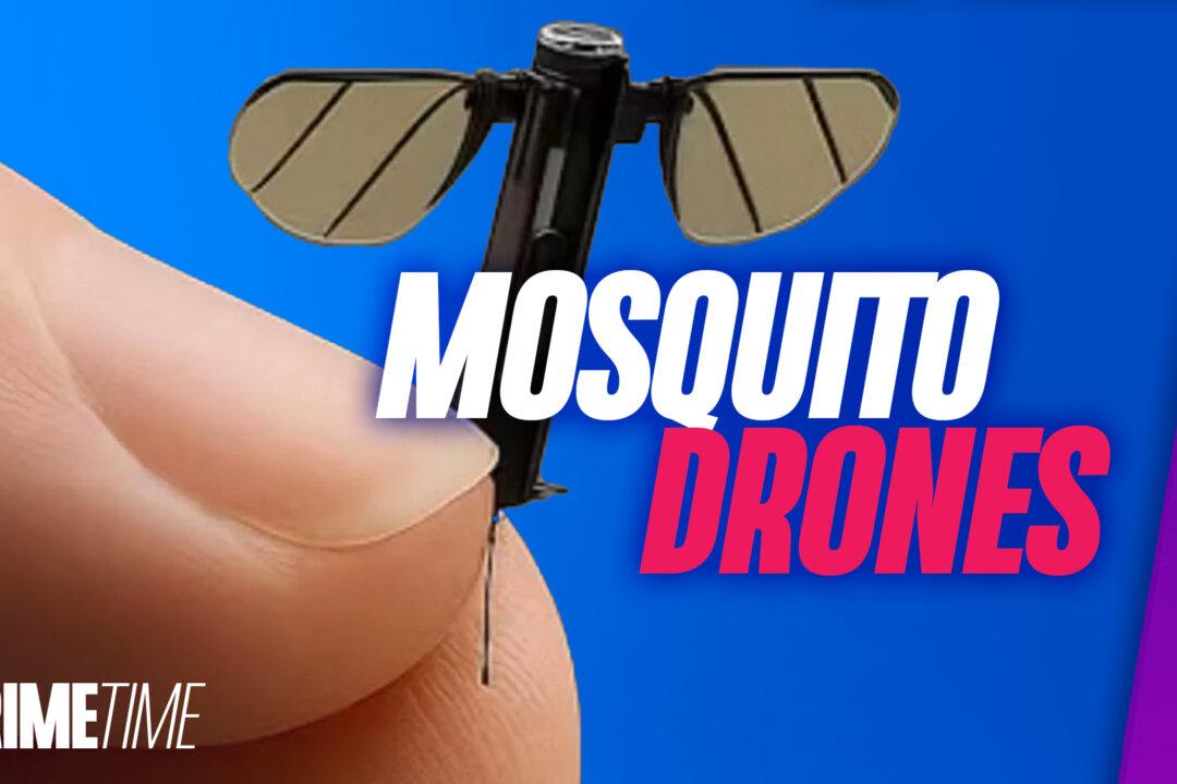 Chinese ‘Mosquito Drones’ in Development; CCP-Linked Marijuana Grows: Bonus Segment | NTD Primetime