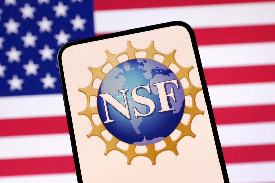 Judge Declines to Block National Science Foundation From Ending DEI-Related Grants