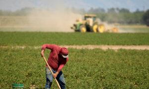 The Labor Crisis Nobody Wants to Admit