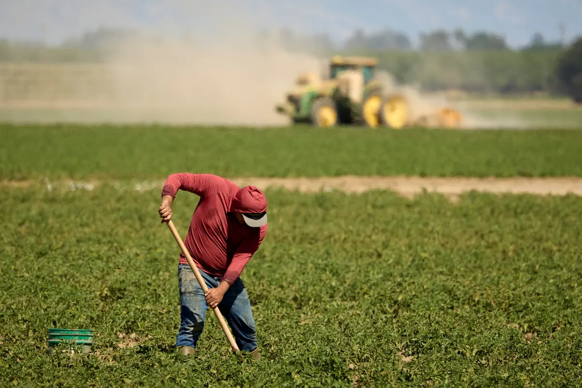 Trump Indicates Legislation for Hiring Illegal Aliens on Farms