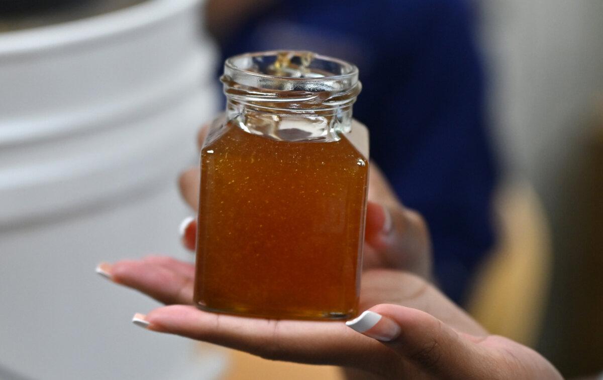 Propel Andrew Street students have become beekeepers under the watchful eye of their teacher, Brandon Keat. They checked on some bees they keep in Homestead, Pennsylvania, on Wednesday, June 4, 2025. Kimony Harris holds up a glass full of finished honey. (Lucy Schaly/Pittsburgh Post-Gazette/TNS)
