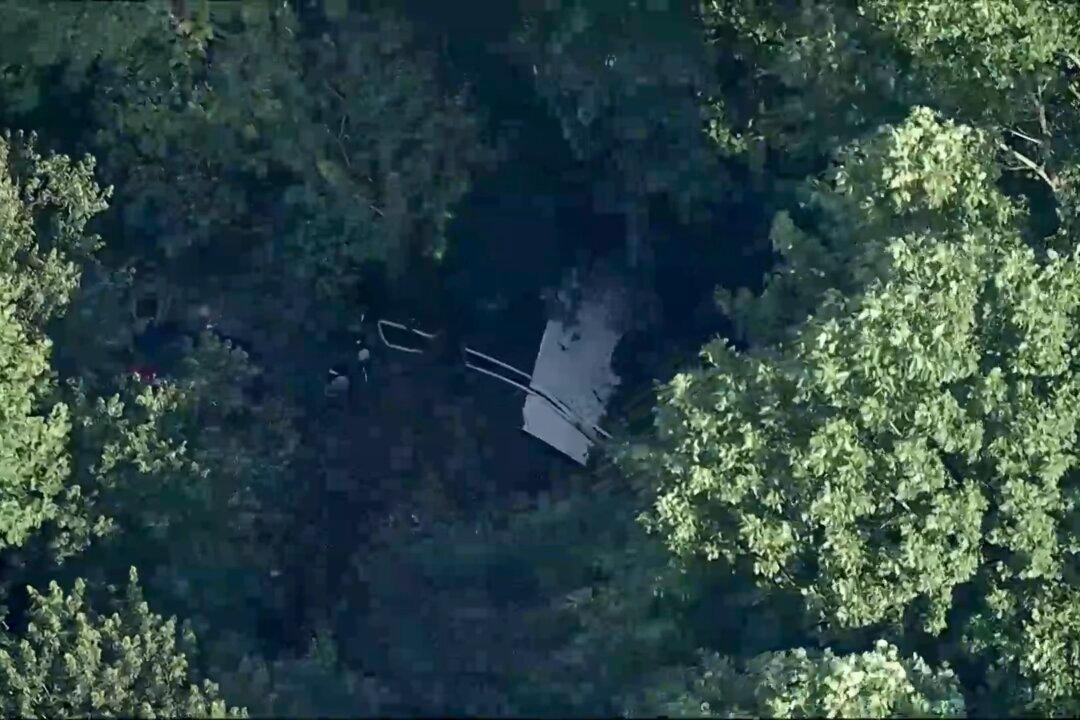 Skydiving Plane Goes Off New Jersey Runway and Crashes Into Woods, Sending 15 to Hospital