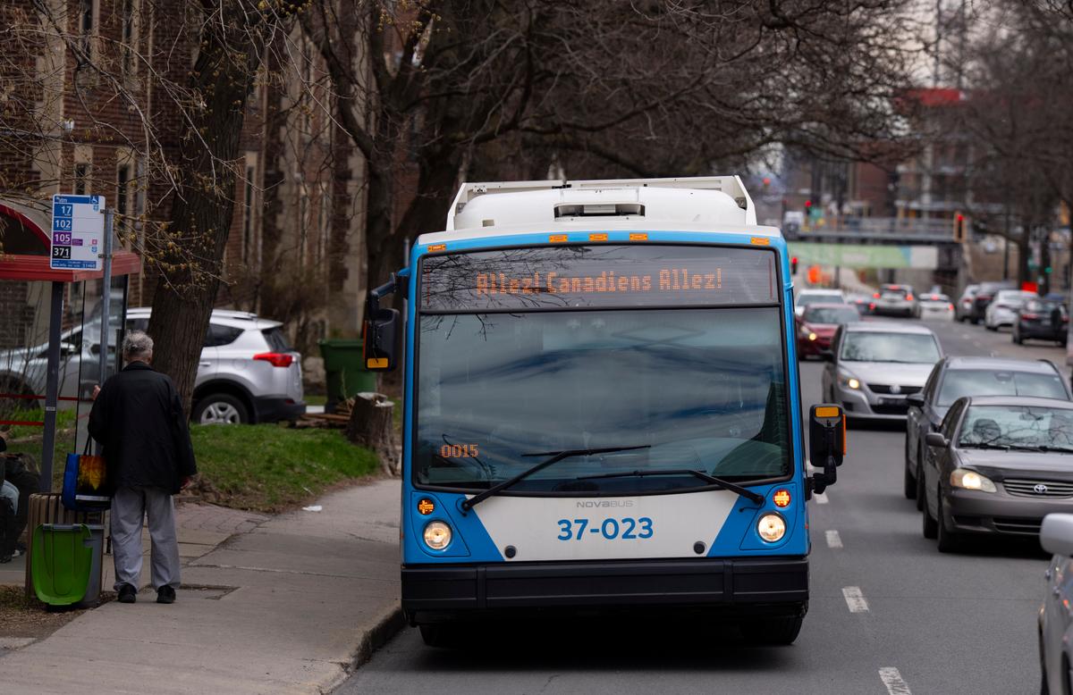 Quebec Language Watchdog Now Says It’s OK to Use ‘Go’ to Support Sports Teams