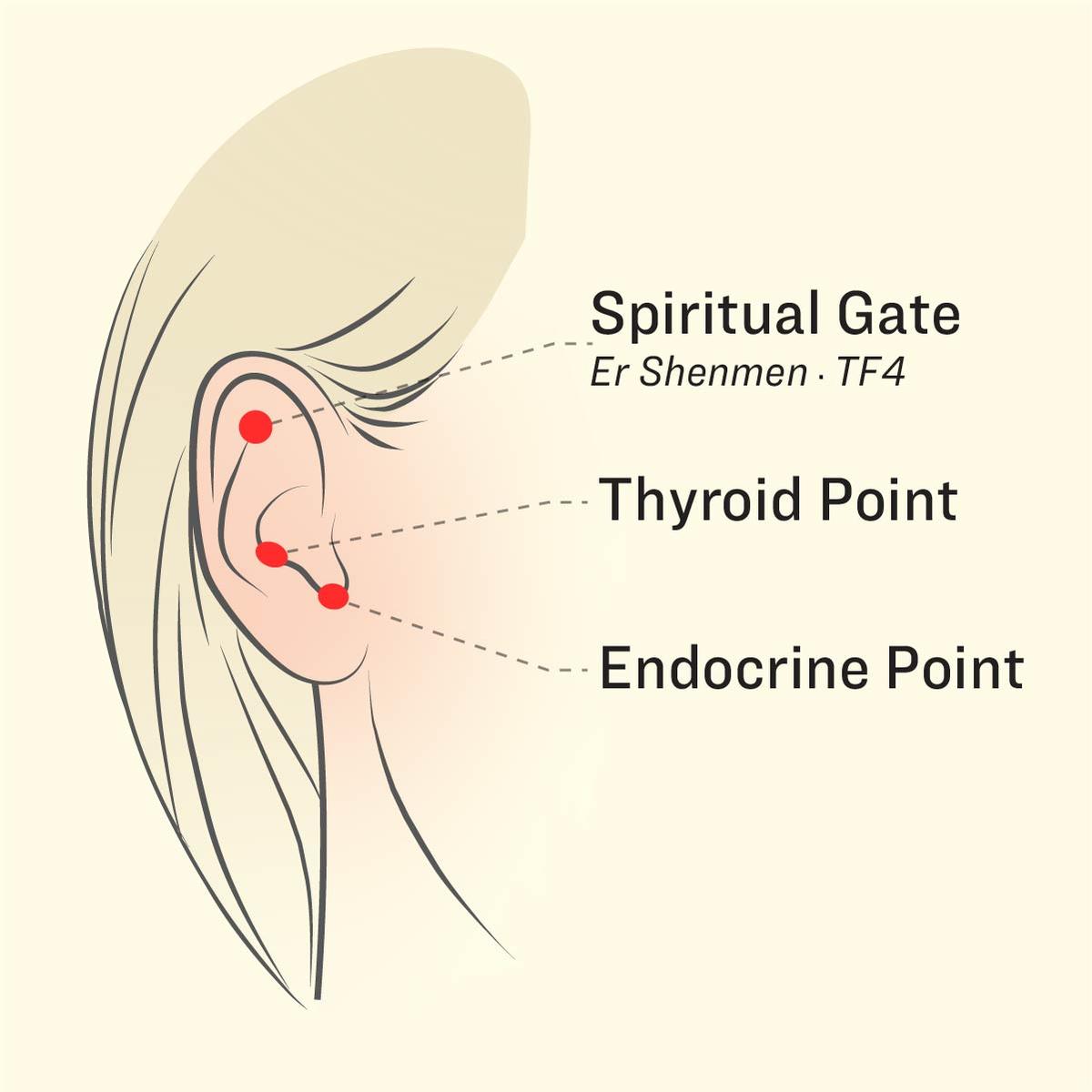 Location of the Er Shenmen acupoint, the Thyroid point, and the Endocrine point. (The Epoch Times)