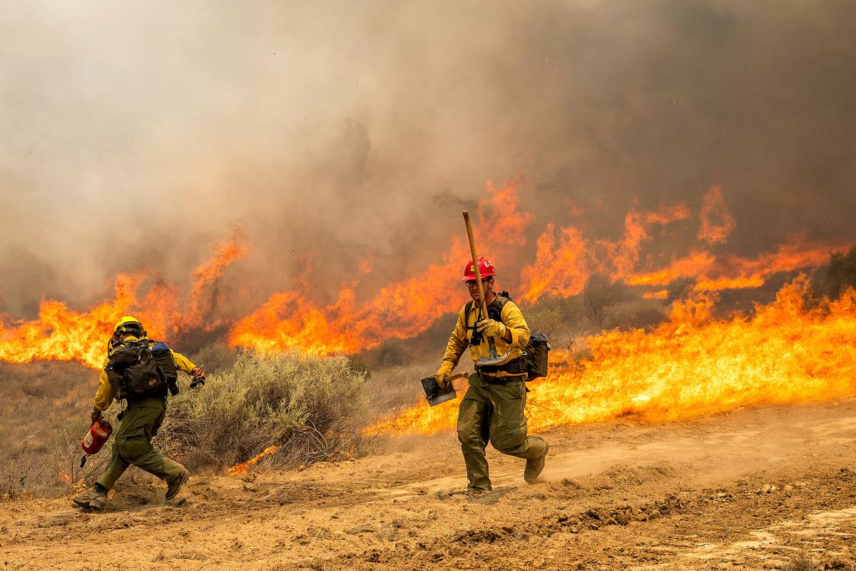 California’s Madre Fire Explodes in Size to Cover Nearly 80,000 Acres thumbnail