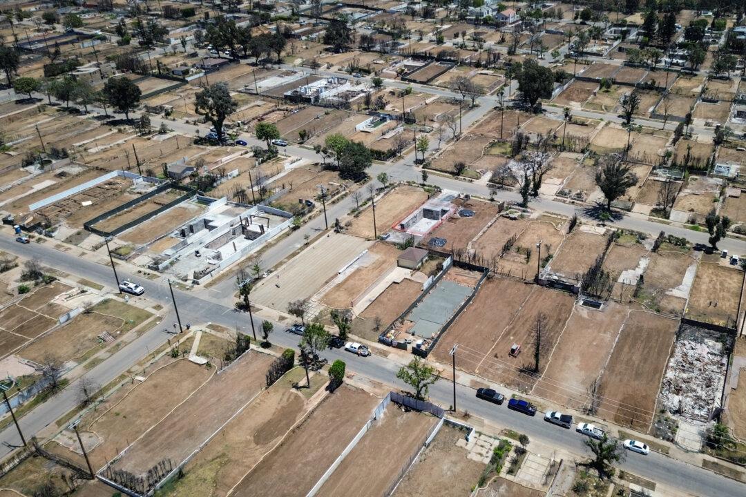 Los Angeles Makes Numerous Changes After Devastating Palisades Fire: Report