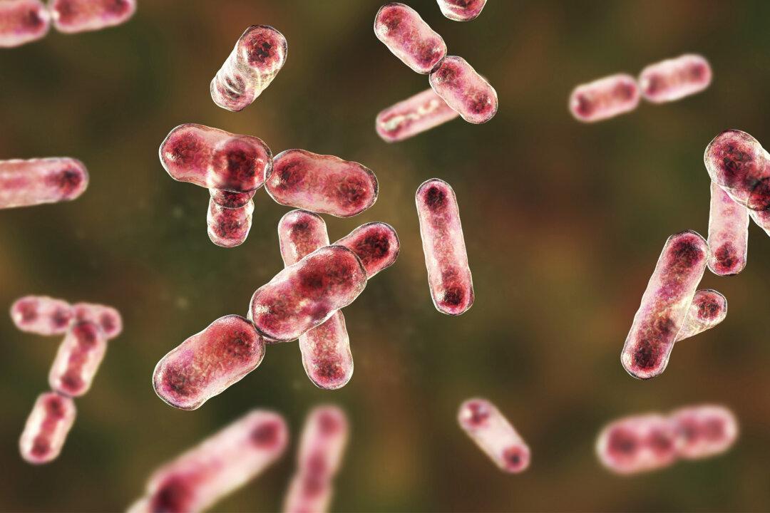 Gut Bacteria Could Help Remove ‘Forever Chemicals’ From Body