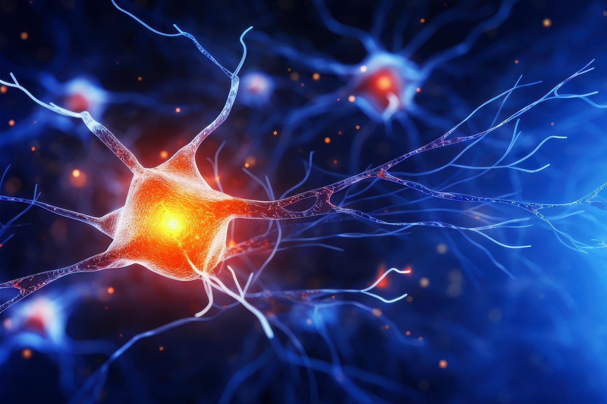 Our Brains Grow New Cells Long After Childhood