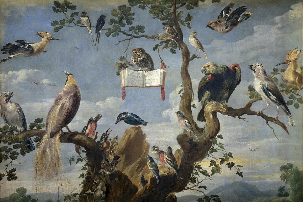 Rise and Shine: The ‘Dawn Chorus’