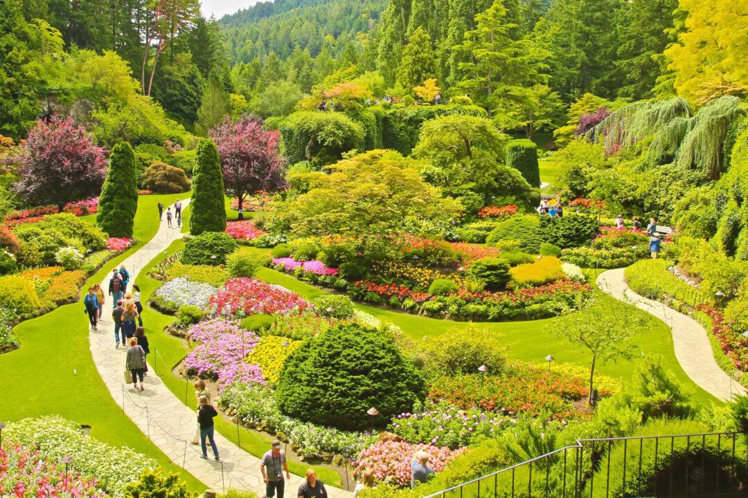 Victoria, BC: Where Sustainable Travel Meets Unforgettable Family Fun