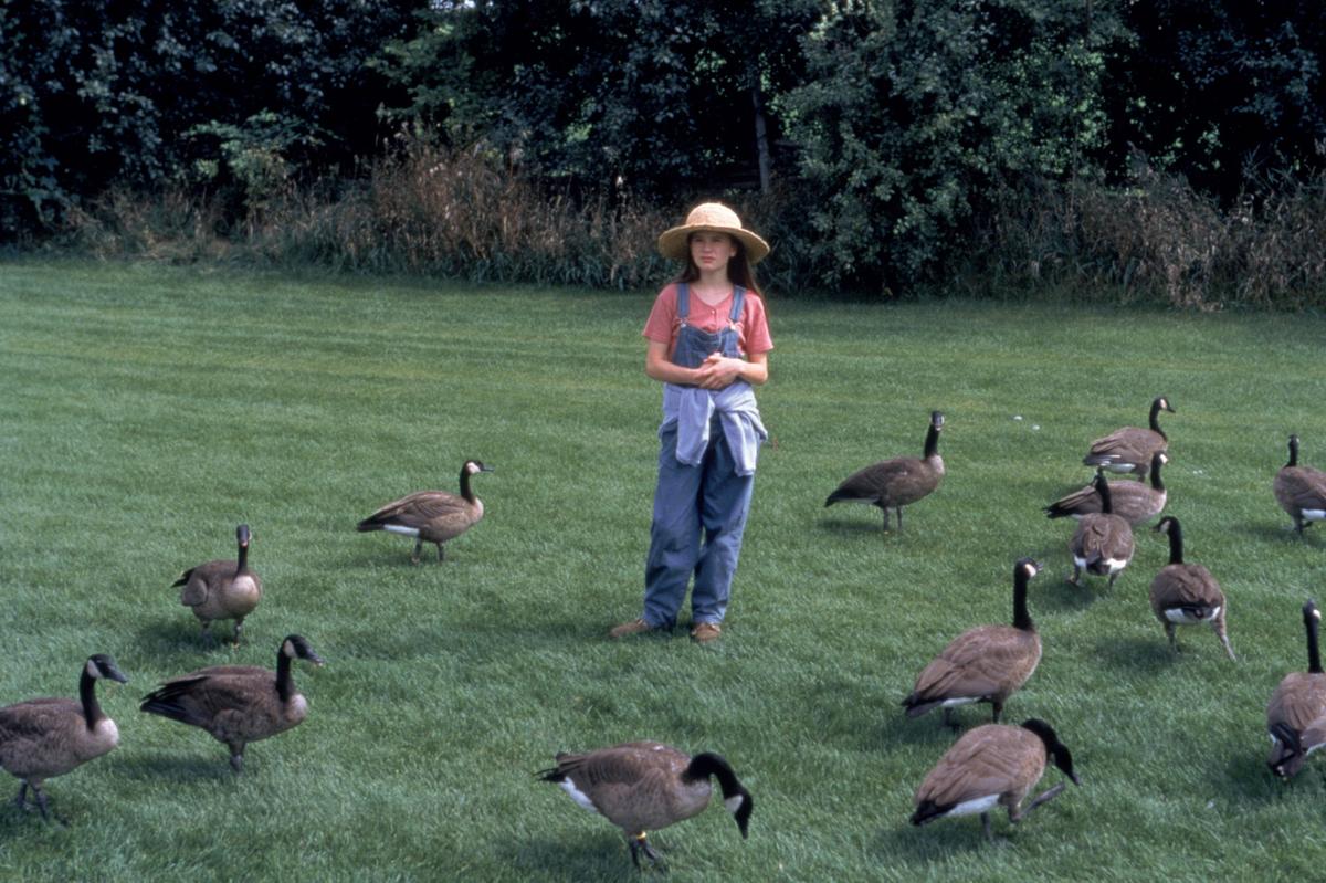 ‘Fly Away Home’: Love of Nature Isn’t Quite Love