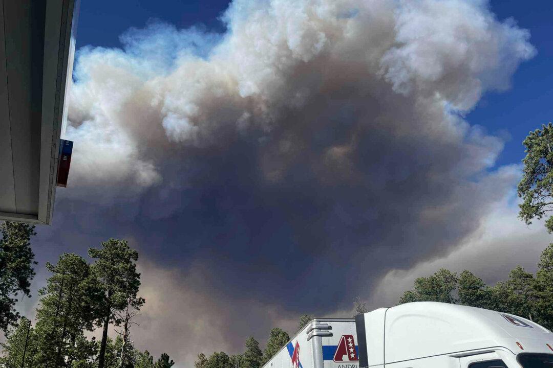 Arizona Governor Calls for Federal Probe Into Grand Canyon Wildfire Response
