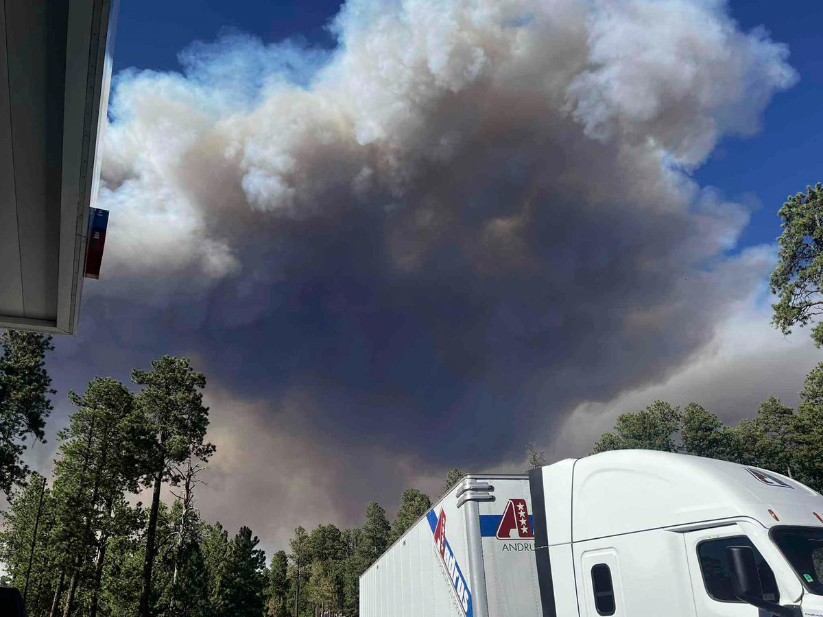 Arizona Governor Calls for Federal Probe Into Grand Canyon Wildfire Response