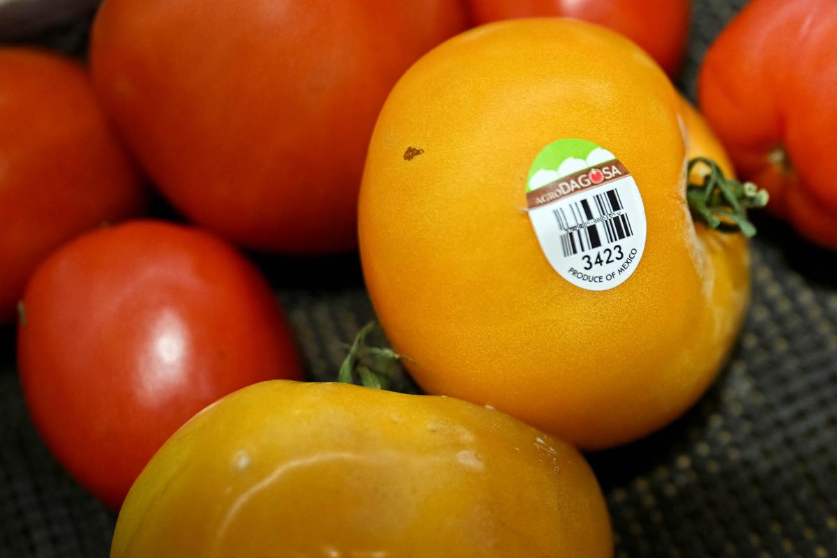 US Imposes 17 Percent Tariff on Fresh Tomato Imports From Mexico