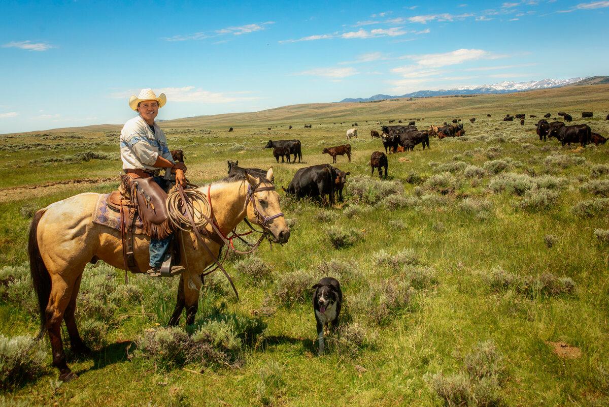 Jess Oldman riding his buckskin quarter horse on the cattle ranch's summer grazing land with snow-capped Wind River Range in background. (Maria Coulson)