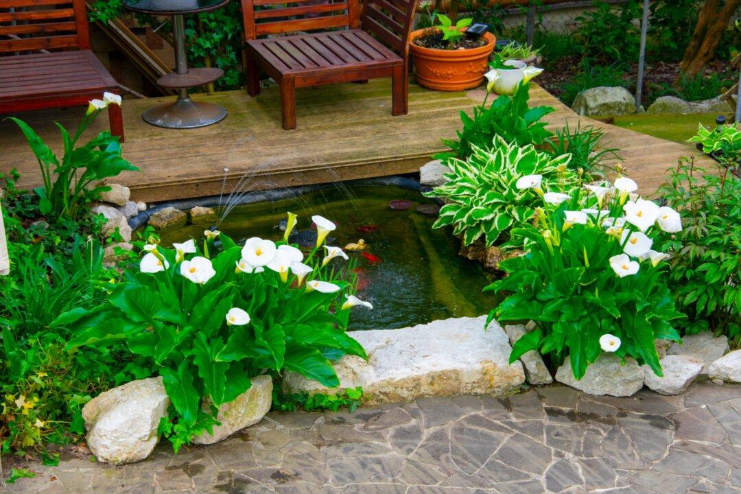 Water Garden Design Considerations