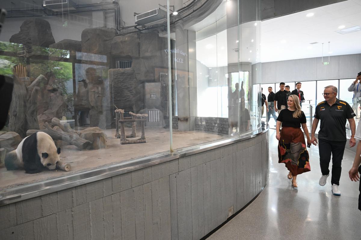 Albanese Wraps Up China Visit with Panda Tour