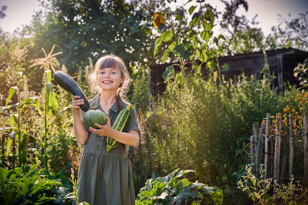 The Squash Patch: Timing, Tips, and Troubleshooting for a Bountiful Harvest