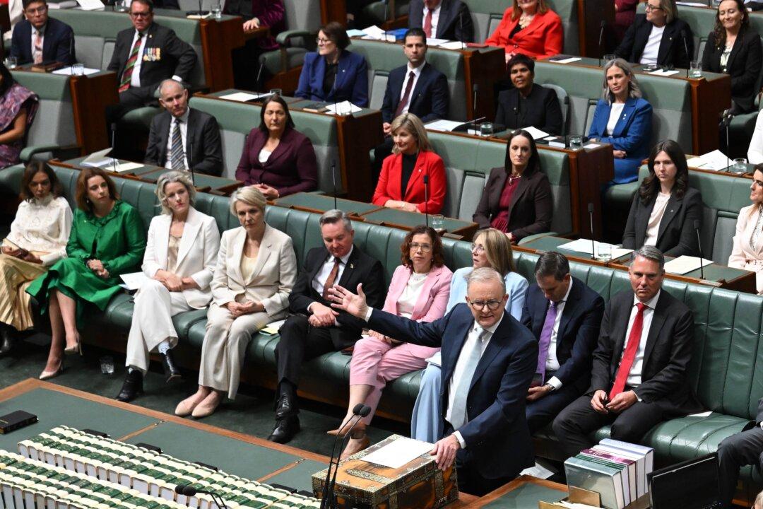 Who Are Some of Labor’s Newest MPs and What Do They Stand For?