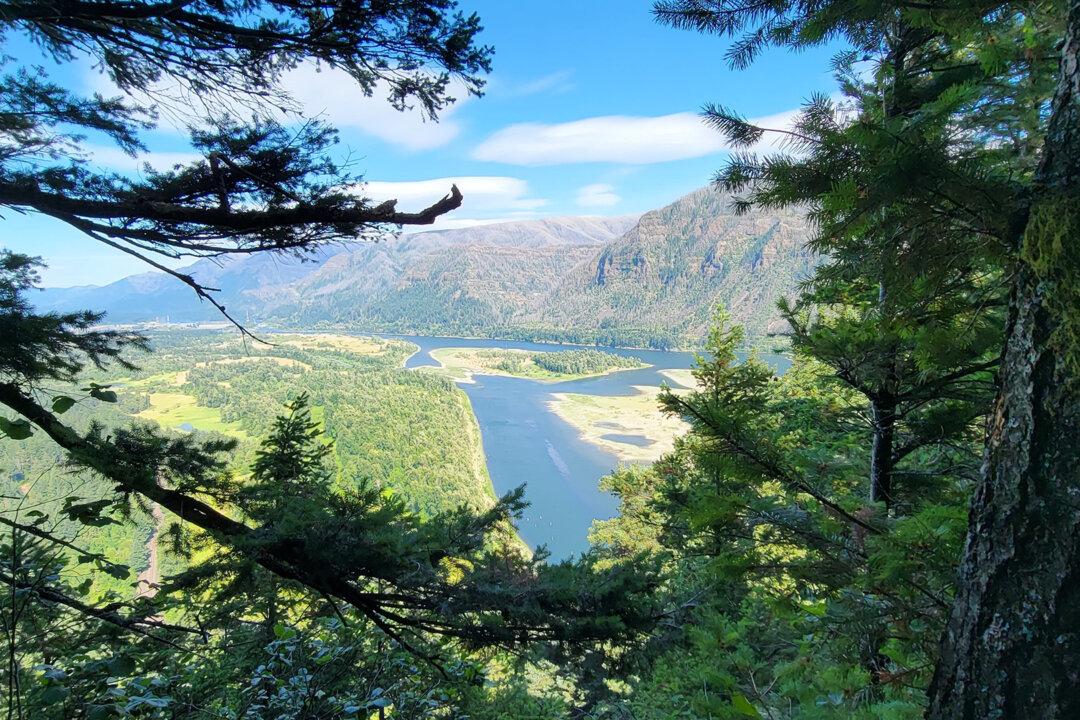 Tips for Camping at the Gorge Amphitheatre and a Stress-Free Concert Experience