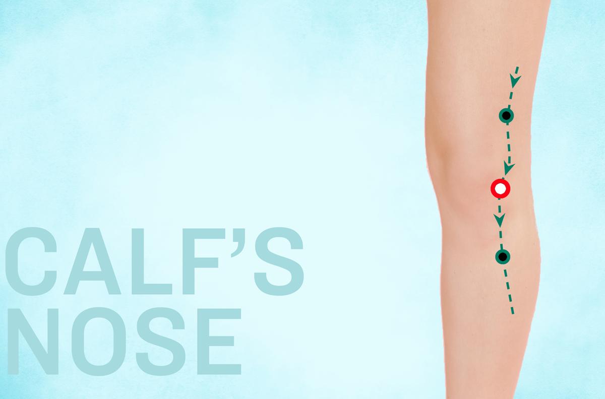 An Silent Workhorse to Support Knee Health