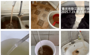 The Epoch Times
