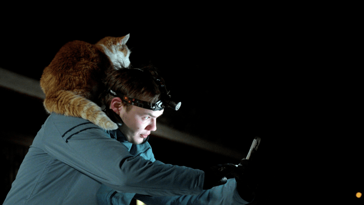 Bjorn Tore and the camp cat set up a shot for a commercial-shooting project, in "Folktales." (Magnolia Pictures)