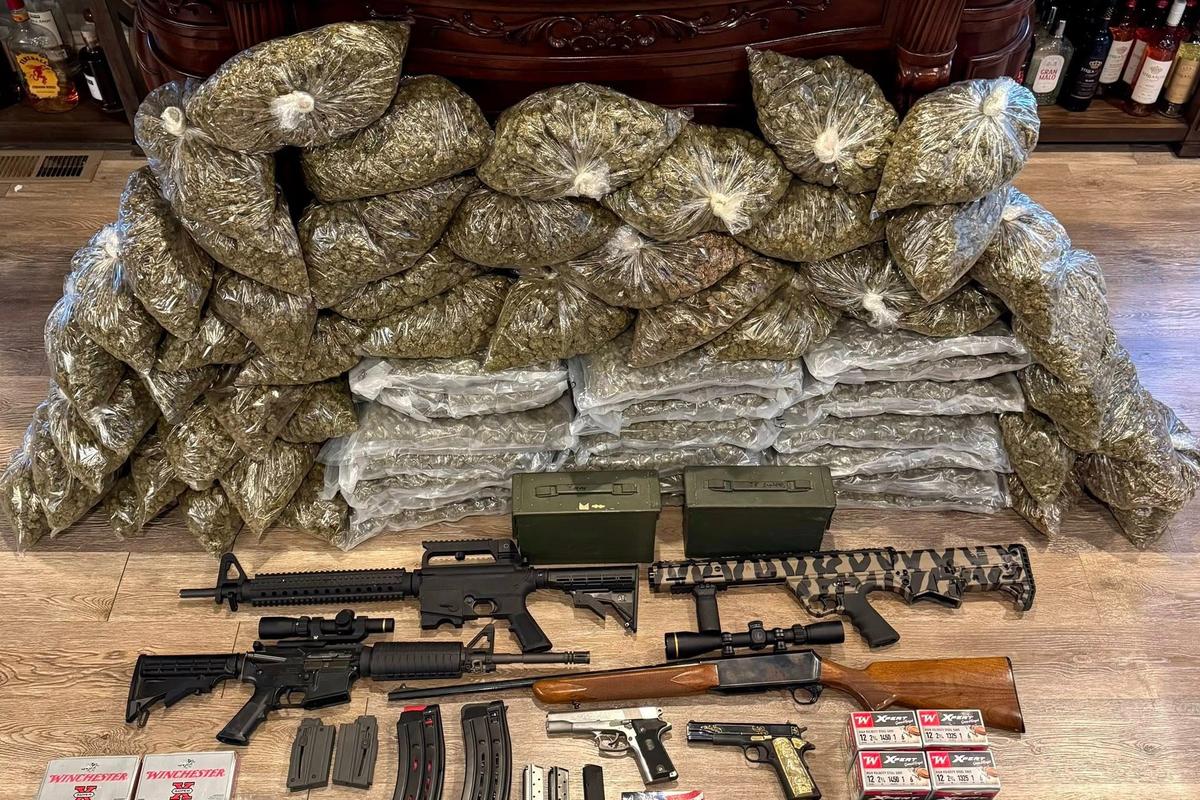 Authorities Find Plants, Cash, and Guns From Illegal Marijuana Grow Sites in Rural California