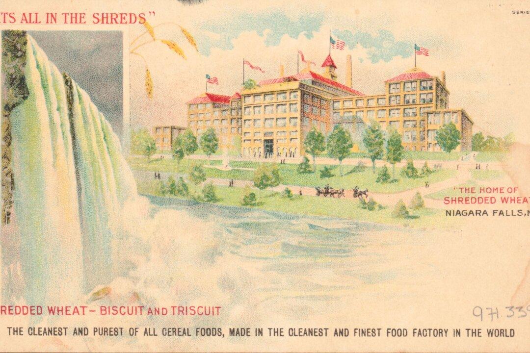 Henry Perky: The Shredded Wheat King