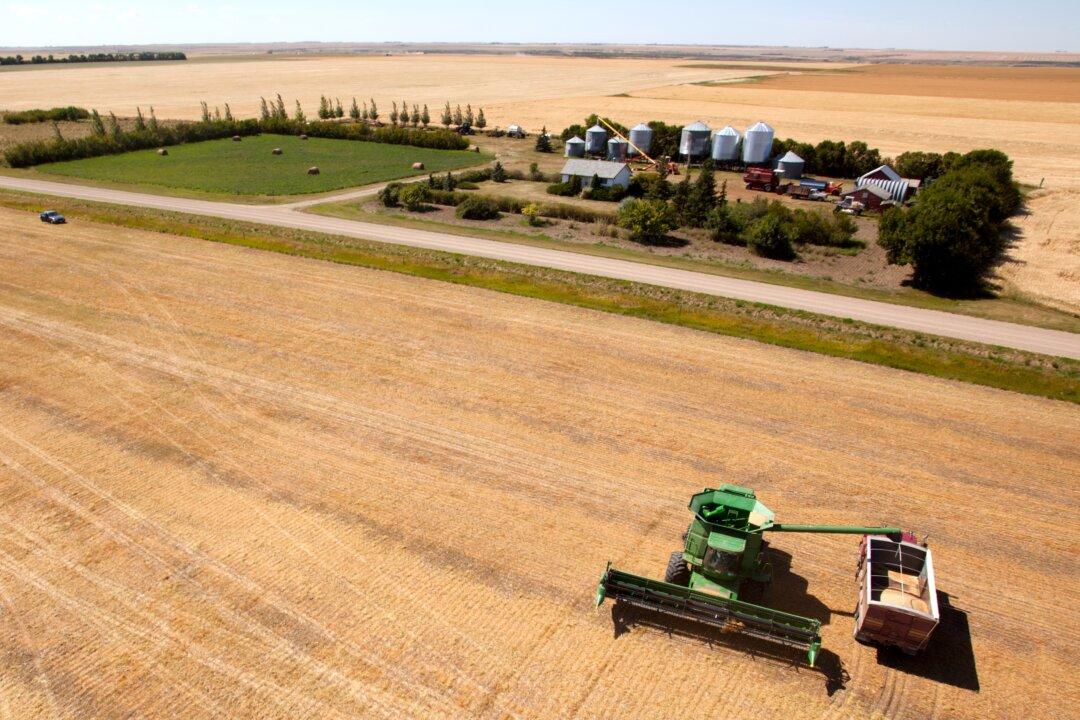 From Wheat to Leverage: How the CCP Exploits Canada’s Regional Fault Lines