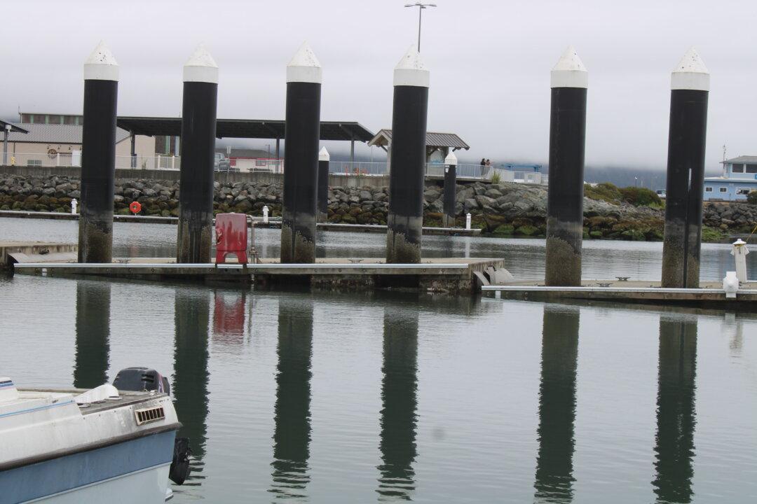 California Coastal Town Reports $1 Million in Damage From Tsunami Waves