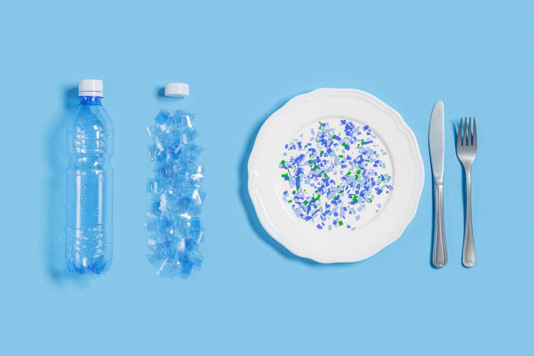 Battling Microplastics in the Kitchen