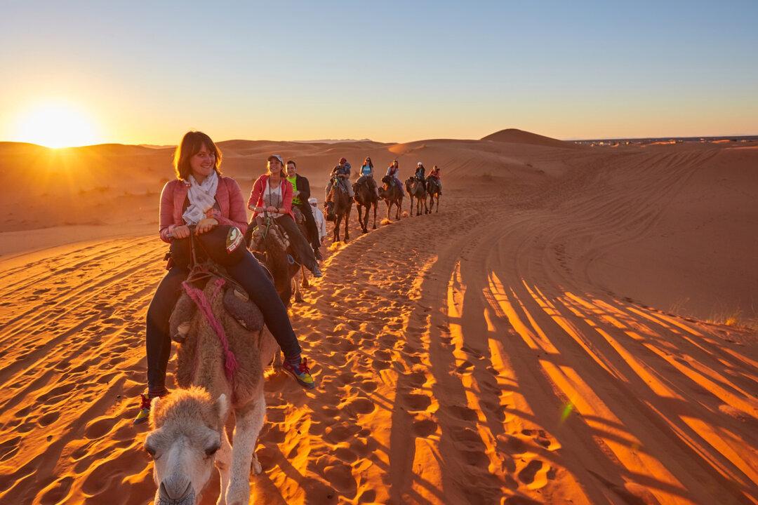 The Guide Matters More Than the Tour: How to Spot a Great Tour Leader